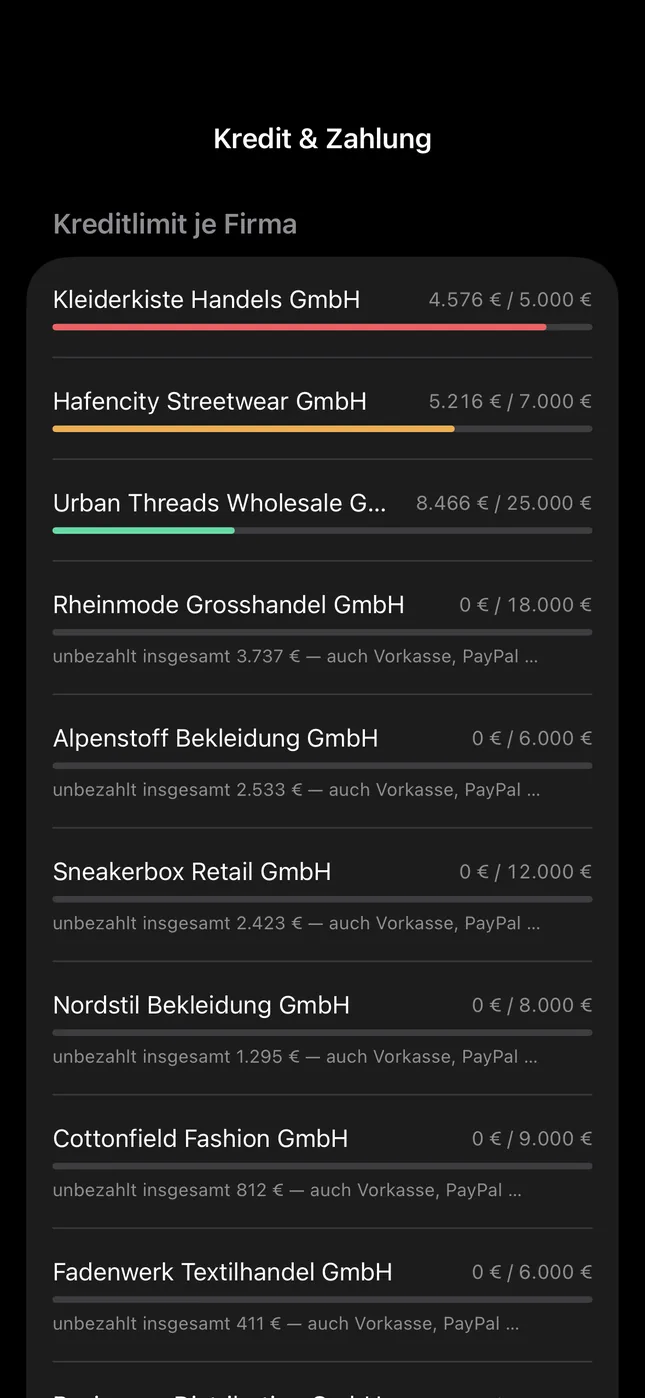 Shopware Mobile App auf dem iPhone: Kreditlimit je Firma